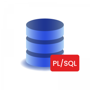 Oracle Pl/Sql for Develope